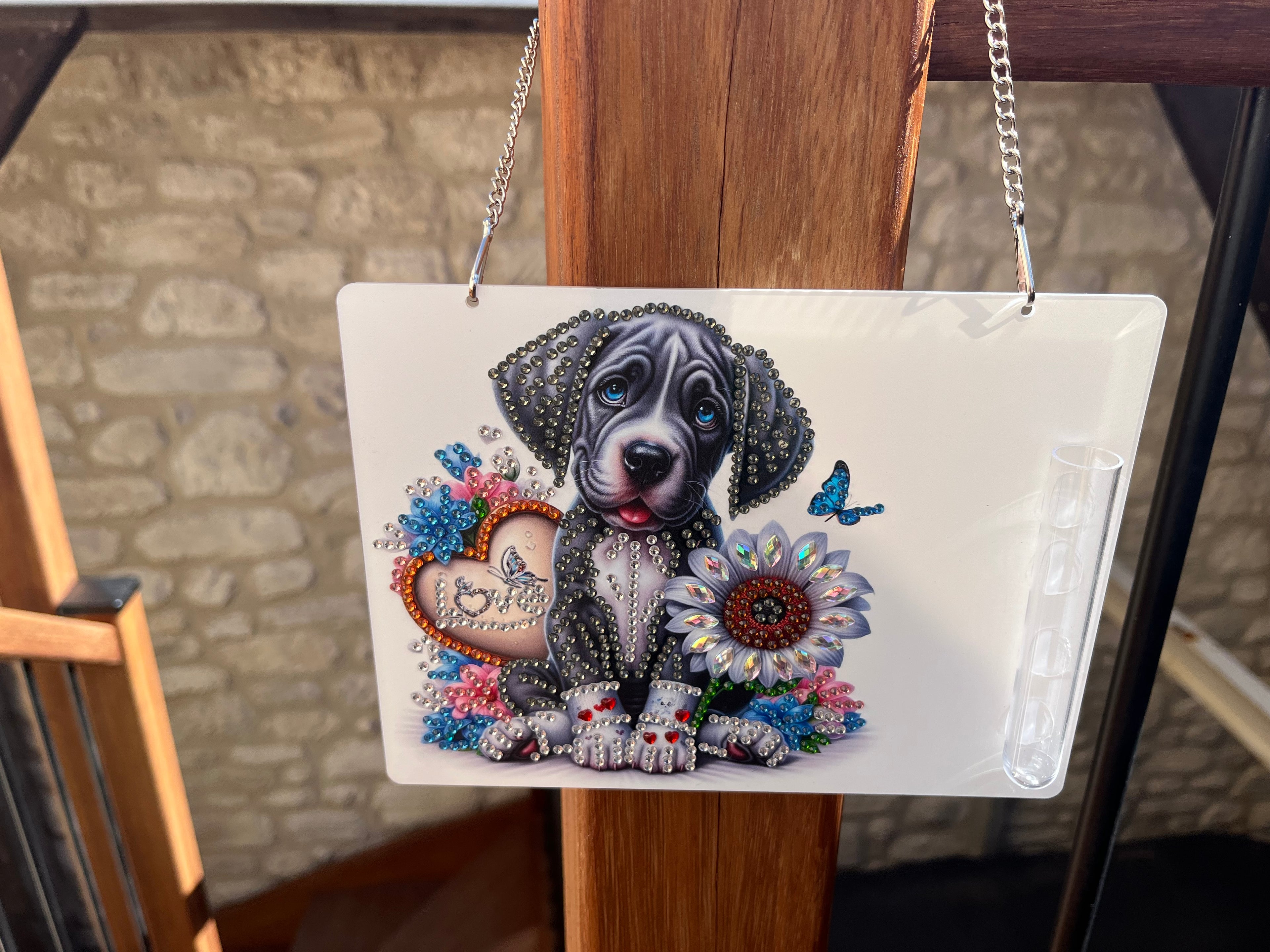 Cadre chien soliflore